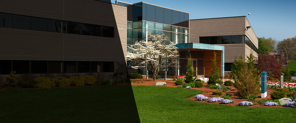 Agoura Hills Landscapers