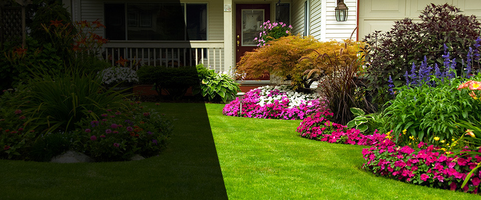 Agoura Hills Landscapers