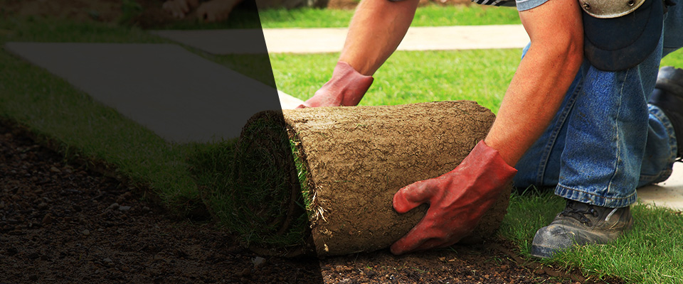 Agoura Hills Landscapers